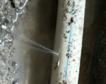 仙游卫生间测漏水多少钱